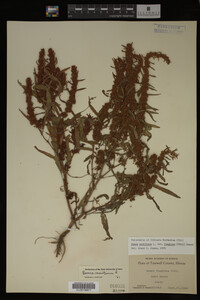 Image Associated With the Occurrence