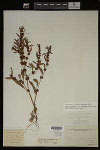 Image Associated With the Occurrence