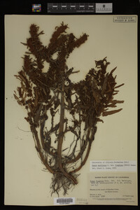Image Associated With the Occurrence