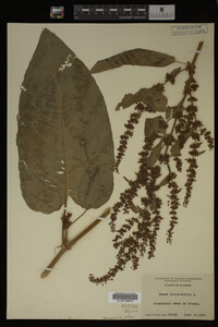 Image Associated With the Occurrence
