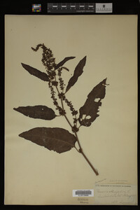 Image Associated With the Occurrence