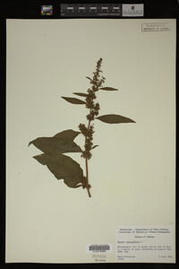 Image Associated With the Occurrence