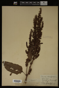 Image Associated With the Occurrence