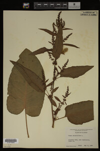 Image Associated With the Occurrence