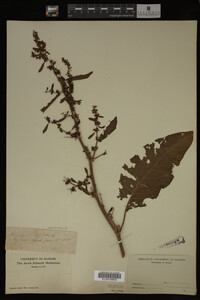 Image Associated With the Occurrence