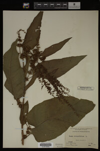 Image Associated With the Occurrence