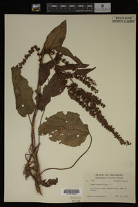 Image Associated With the Occurrence