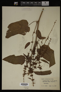 Image Associated With the Occurrence