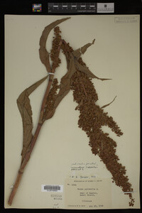Image Associated With the Occurrence
