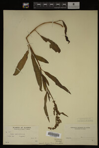 Image Associated With the Occurrence