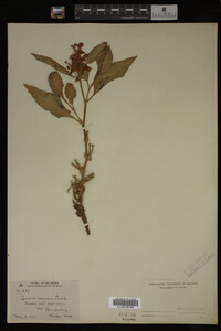 Image Associated With the Occurrence