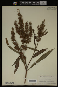 Image Associated With the Occurrence
