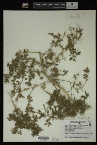 Image Associated With the Occurrence