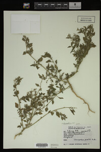 Image Associated With the Occurrence