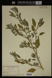 Image Associated With the Occurrence