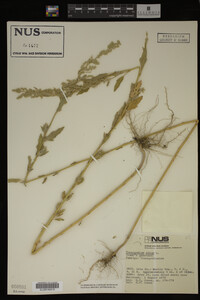 Image Associated With the Occurrence