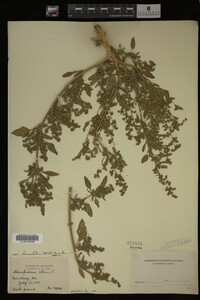 Image Associated With the Occurrence