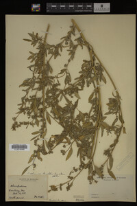 Image Associated With the Occurrence