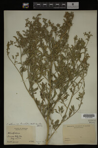 Image Associated With the Occurrence