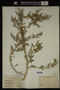 Image Associated With the Occurrence
