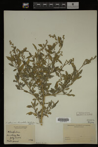 Image Associated With the Occurrence