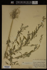 Image Associated With the Occurrence