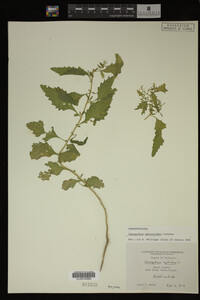 Image Associated With the Occurrence