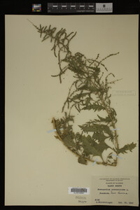 Image Associated With the Occurrence