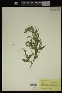 Image Associated With the Occurrence