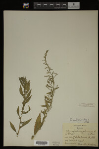 Image Associated With the Occurrence