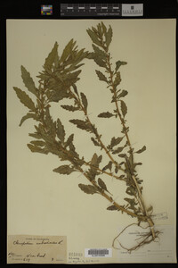 Image Associated With the Occurrence