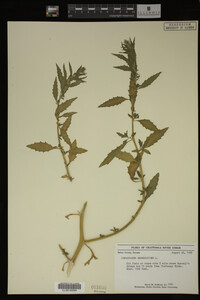 Image Associated With the Occurrence