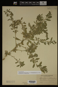 Image Associated With the Occurrence