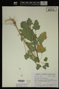 Image Associated With the Occurrence