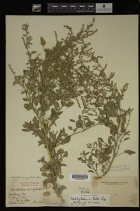 Image Associated With the Occurrence