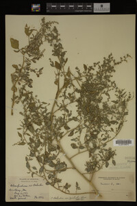 Image Associated With the Occurrence
