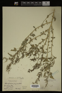 Image Associated With the Occurrence