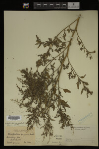 Image Associated With the Occurrence