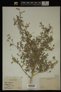 Image Associated With the Occurrence