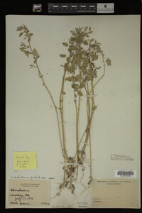Image Associated With the Occurrence
