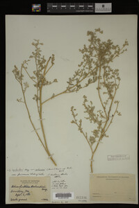 Image Associated With the Occurrence