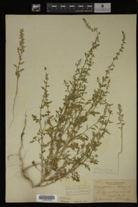 Image Associated With the Occurrence