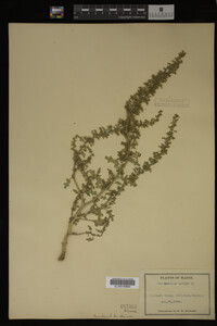 Image Associated With the Occurrence