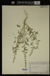 Image Associated With the Occurrence