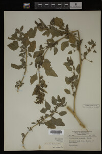 Image Associated With the Occurrence
