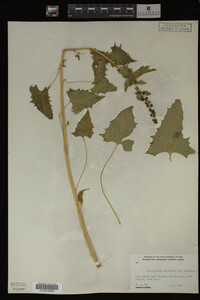 Image Associated With the Occurrence
