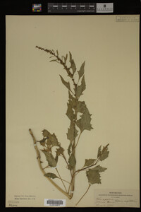 Image Associated With the Occurrence