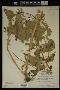 Image Associated With the Occurrence
