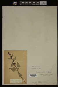 Image Associated With the Occurrence