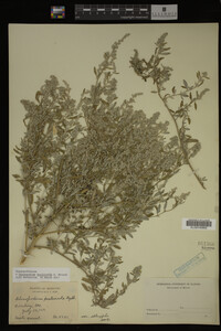 Image Associated With the Occurrence